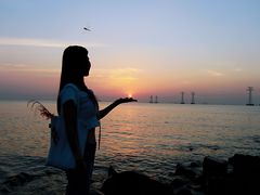 -宝安西湾红树林湿地公园