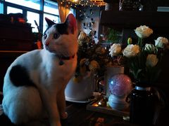 -BUND·FIVE外滩5号(天际店)