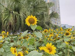 -情侣路