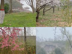 -思念果岭悦温泉