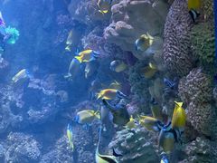 -海合安青岛极地海洋公园