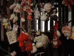 -纪州豚骨酱油拉面(锦延路店)