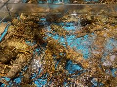 -阿伟海鲜楼·福建菜(延寿店)