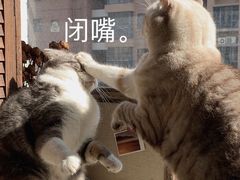 -H次元沉浸剧情密室(街道口店)