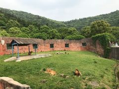 -无锡动物园·太湖欢乐园