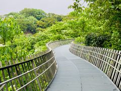 -福道