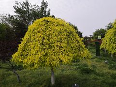 -西安汉城湖景区