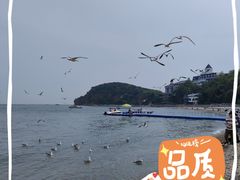 -棒棰岛宾馆景区