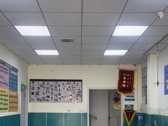 -乖乖宠物医院·猫科·急重症中心(车站北路分院)