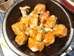 -甘家界牌柠檬鸭(青山店)