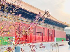 -雍和宫