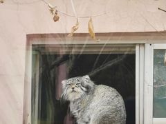 -青藏高原野生动物园