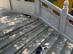 -宝通禅寺