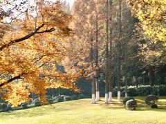 -上海市保健医疗中心