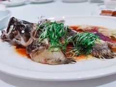 老虎斑-海逸海鲜酒家(古北店)