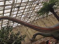 -国家自然博物馆