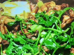 -众悦夜郎蛙美食餐厅(太原南街店)