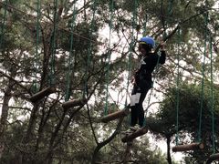 -芦仙山景区-飞越丛林探险乐园