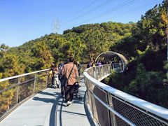 -仙岳公园
