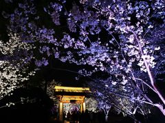 -南京城墙景区