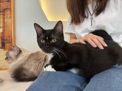 -共舞时光猫咖·狗咖(新街口店)