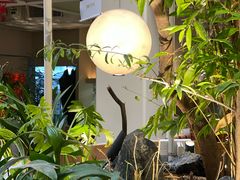 -馋嘴猫北京食堂·烤鸭·宵夜(亚运村店)