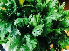 茼蒿菜-老码头火锅(骡马市店)