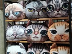 -猫咪博物馆(顶澳仔猫街店)