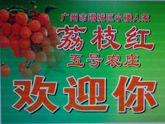 IMG_0448-荔枝红五号农庄
