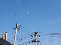 -和木The Home·私厨(鼓楼店)