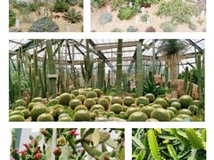 -中国科学院华南植物园