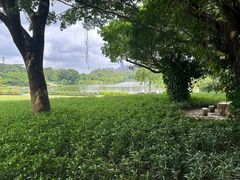 -东莞植物园