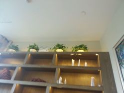 android_upload_pic-小左沙龙