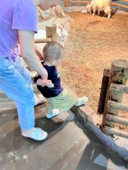 -Zoolung Zoolung动物主题公园(海信广场店)