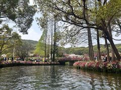 -苏州上方山国家森林公园