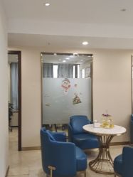 -碧莲盛·不剃发植发