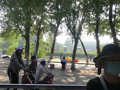-北戴河集发农业梦想王国