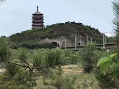 -永定河休闲森林公园