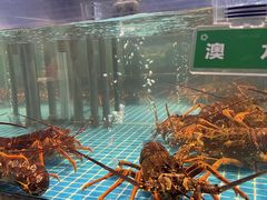 -昆山皇冠国际会展酒店