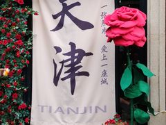 -天津五大道文化旅游区