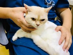 -芭比堂动物医院·犬猫全科·异宠专科(雁塔分院)