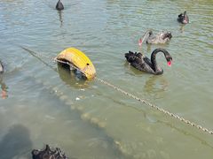 -无锡动物园·太湖欢乐园