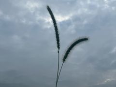 -敕勒川草原文化旅游区