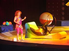 -珠海横琴长隆《卡卡虎奇遇记》