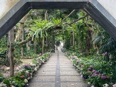 -广西壮族自治区药用植物园