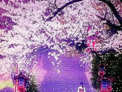 -和枫(众意路店)