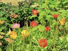 -人民公园(罗湖区)