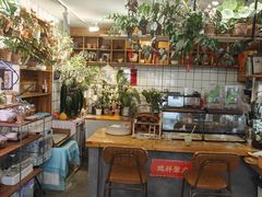 -吉丁鸟咖·异宠·寄养