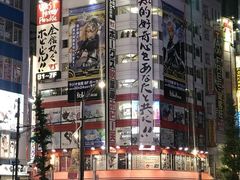 -秋叶原电器街