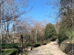 -青龙山公园